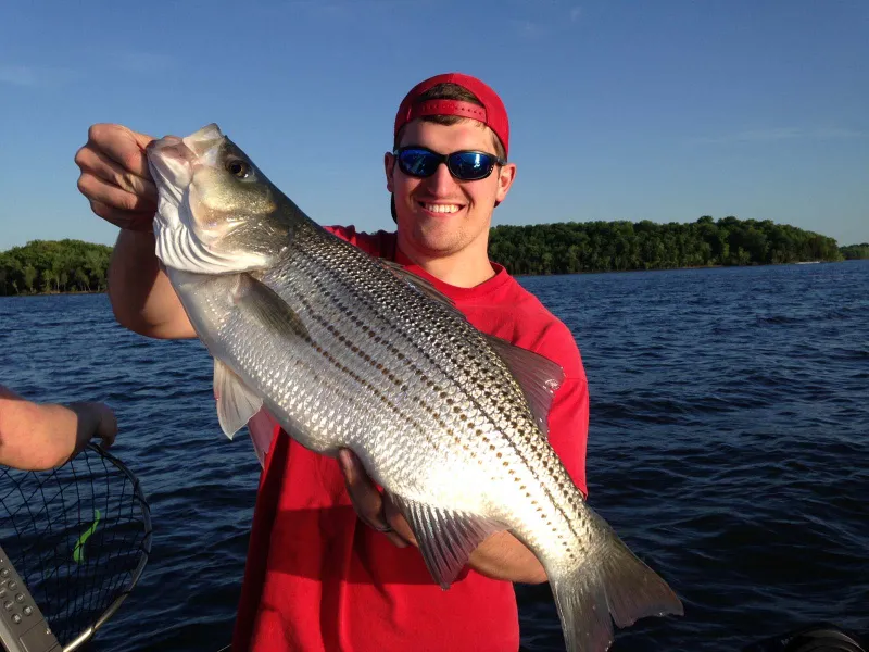 Percy Priest Lake - Nashville TN Striper Fishing with Billy Flatt