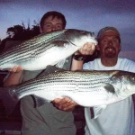 striper fishing with billy flatt previous charter trips in nashville 2